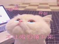 南京金妍商贸有限公司