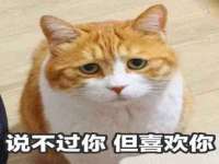 南京金妍商贸有限公司