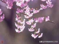 南京金妍商贸有限公司