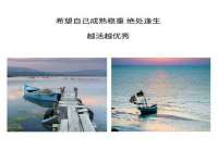 南京金妍商贸有限公司