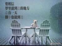 南京金妍商贸有限公司