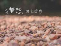 南京金妍商贸有限公司