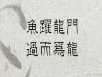 南京金妍商贸有限公司
