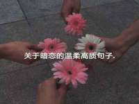 南京金妍商贸有限公司
