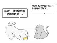 南京金妍商贸有限公司
