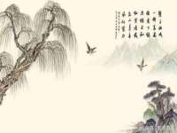 南京金妍商贸有限公司
