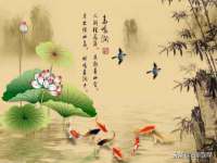 南京金妍商贸有限公司
