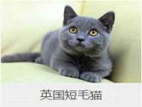南京金妍商贸有限公司