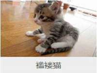 南京金妍商贸有限公司