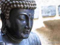 南京金妍商贸有限公司