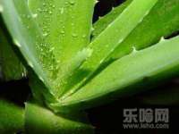 南京金妍商贸有限公司