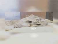 南京金妍商贸有限公司