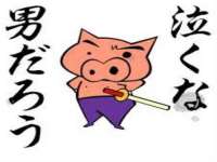 南京金妍商贸有限公司