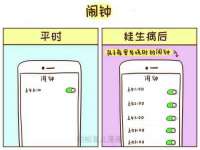 南京金妍商贸有限公司