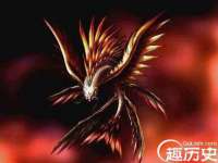 南京金妍商贸有限公司