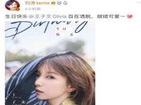 南京金妍商贸有限公司