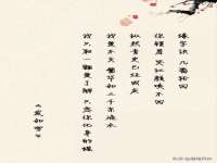 南京金妍商贸有限公司