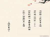 南京金妍商贸有限公司