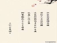 南京金妍商贸有限公司