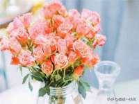 南京金妍商贸有限公司