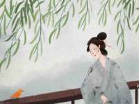 南京金妍商贸有限公司
