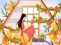 南京金妍商贸有限公司