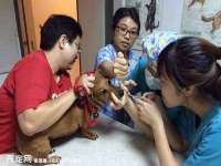 南京金妍商贸有限公司