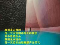 南京金妍商贸有限公司