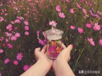 南京金妍商贸有限公司