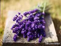 南京金妍商贸有限公司
