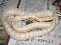 南京金妍商贸有限公司